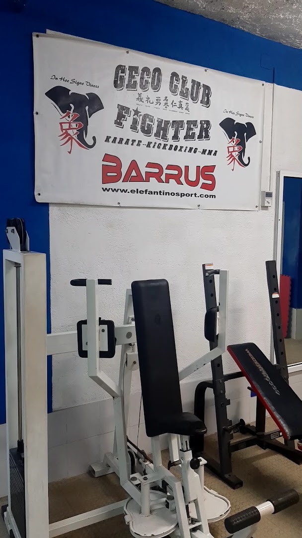 A.S.D. PALESTRA GECO CLUB
