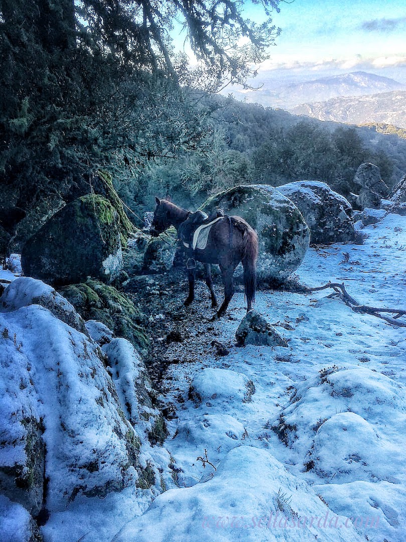 A.S.D. SELLA SARDA - Escursione e gite a cavallo in Sardegna / Horse riding tours in Sardinia
