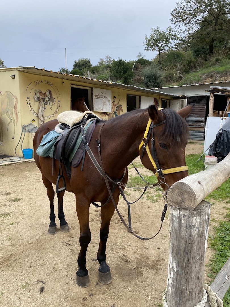 A.S.D. SELLA SARDA - Escursione e gite a cavallo in Sardegna / Horse riding tours in Sardinia