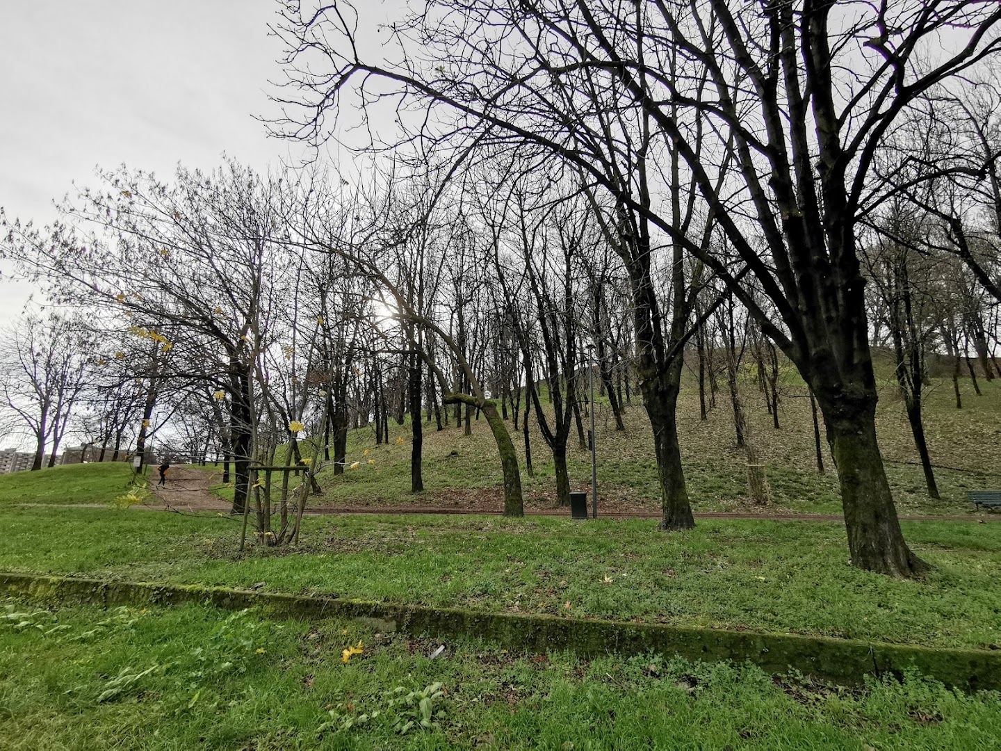 A.S. Masseroni Marchese