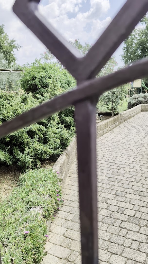 Acqua delle Terme di Sorano