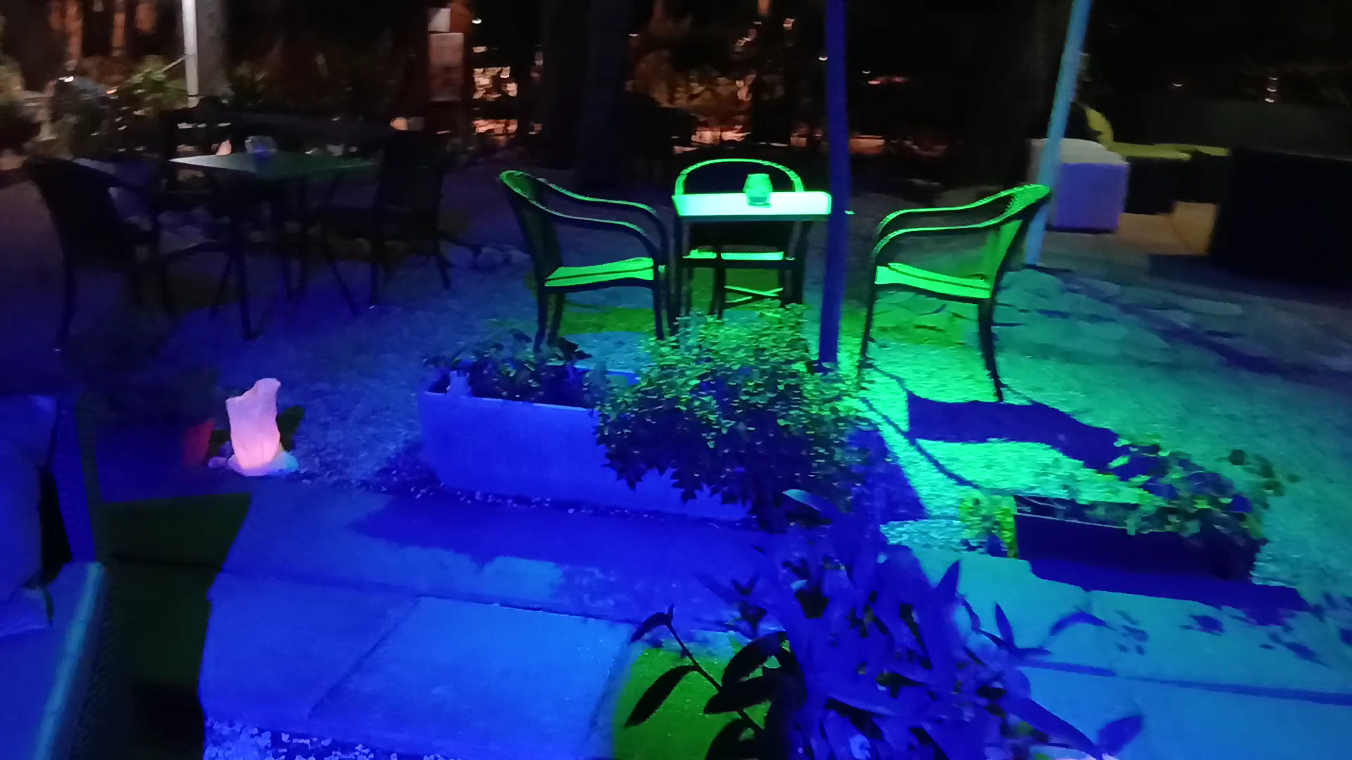 A'Furmicula discorestaurant
