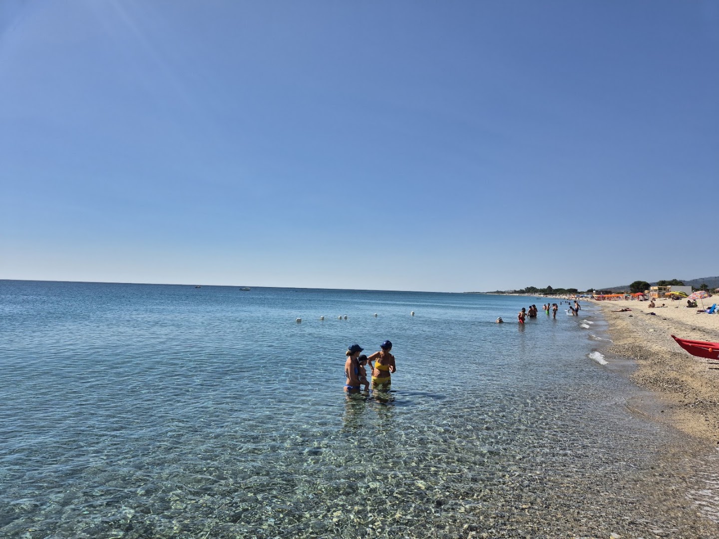 Agave Beach