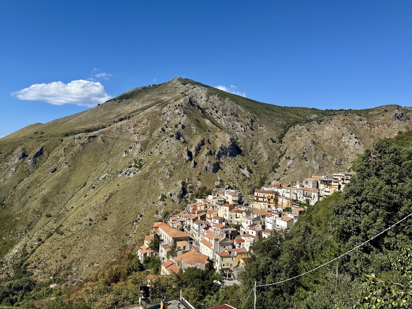 Agorà del Borgo, Buonvicino