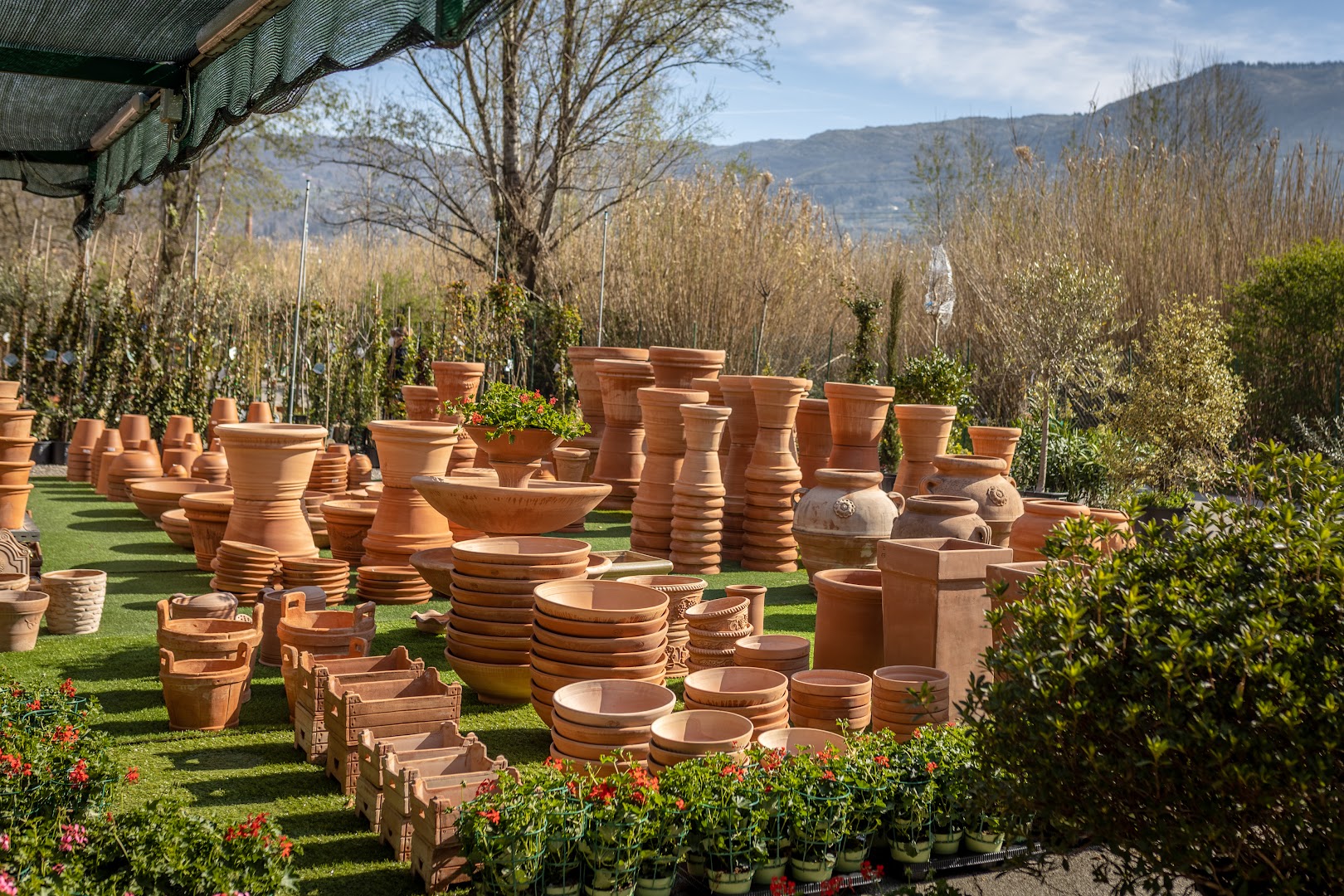 Agraria Bartolini Srl