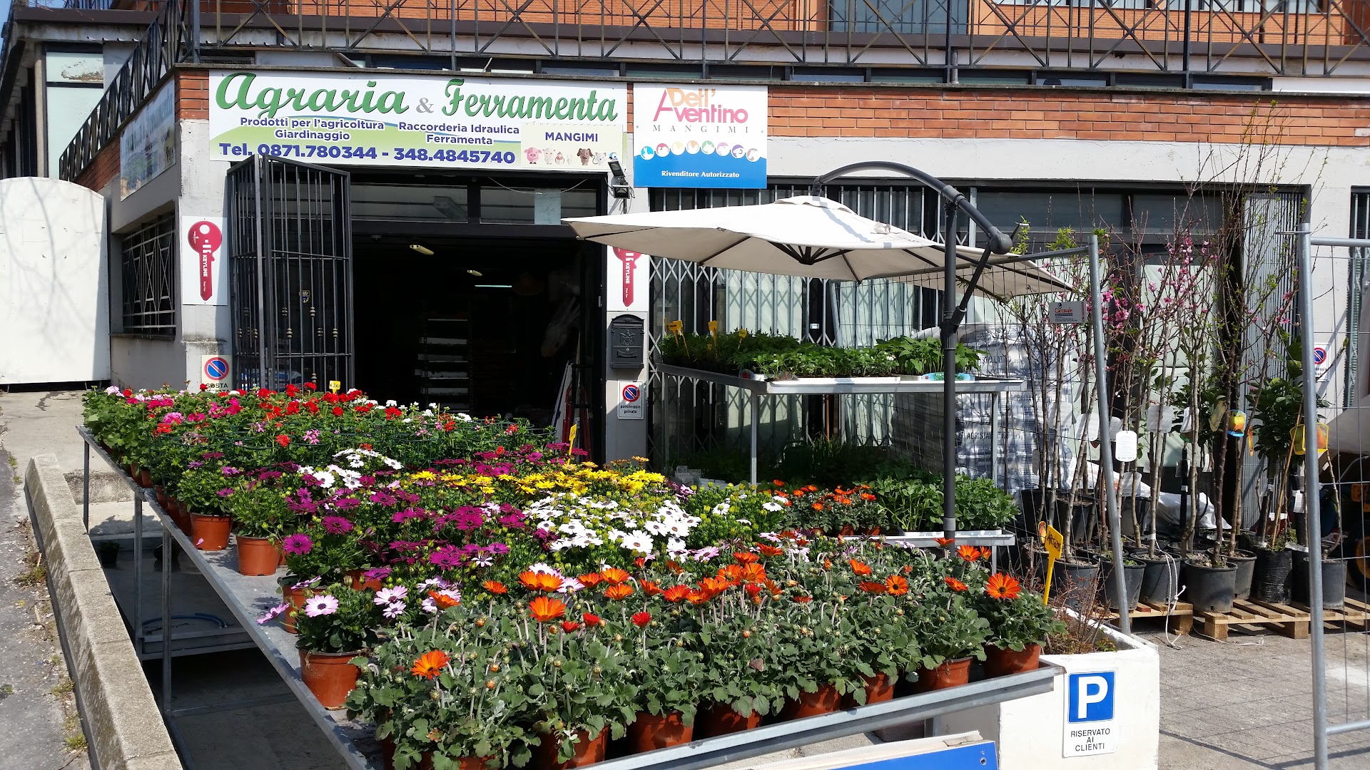 agraria&ferramenta, Chieti