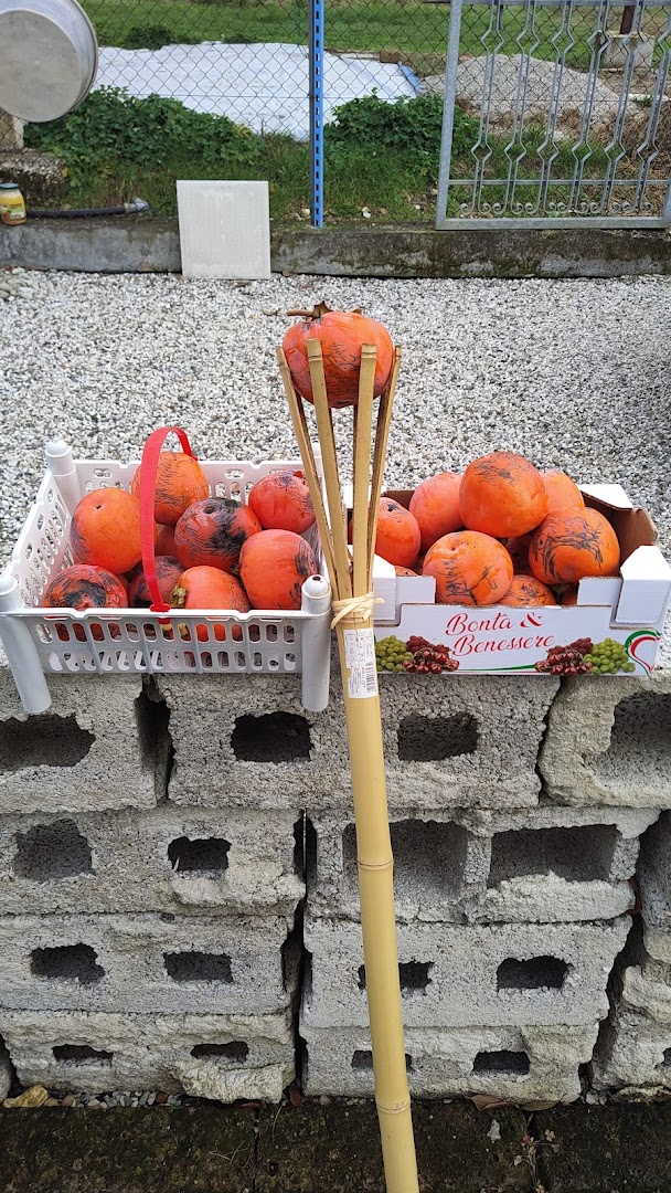 Agraria Garbuio