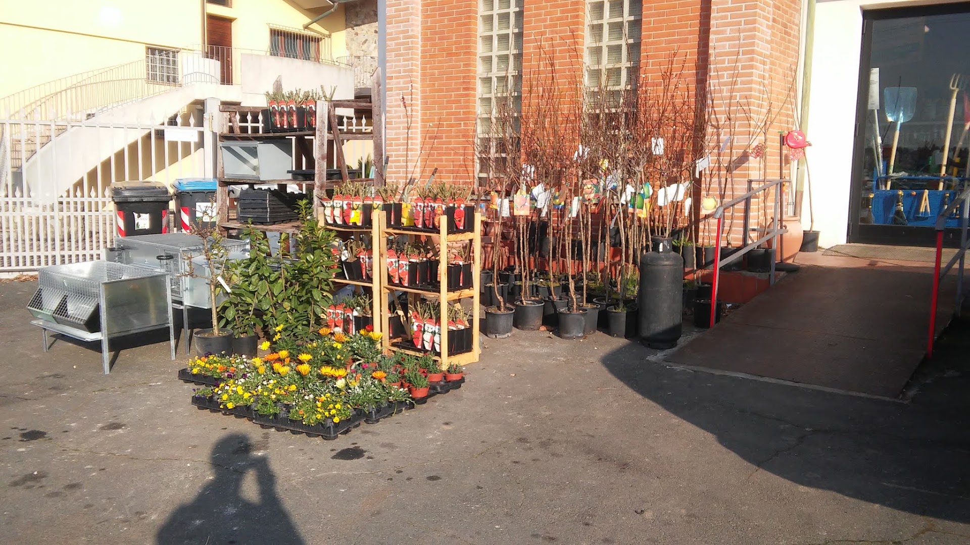 Agraria SGS di Mucci Samuele