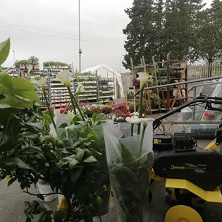 Agraria SGS di Mucci Samuele