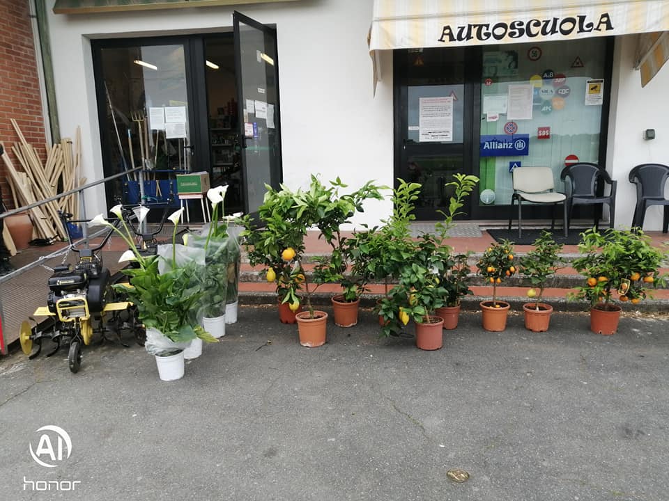 Agraria SGS di Mucci Samuele