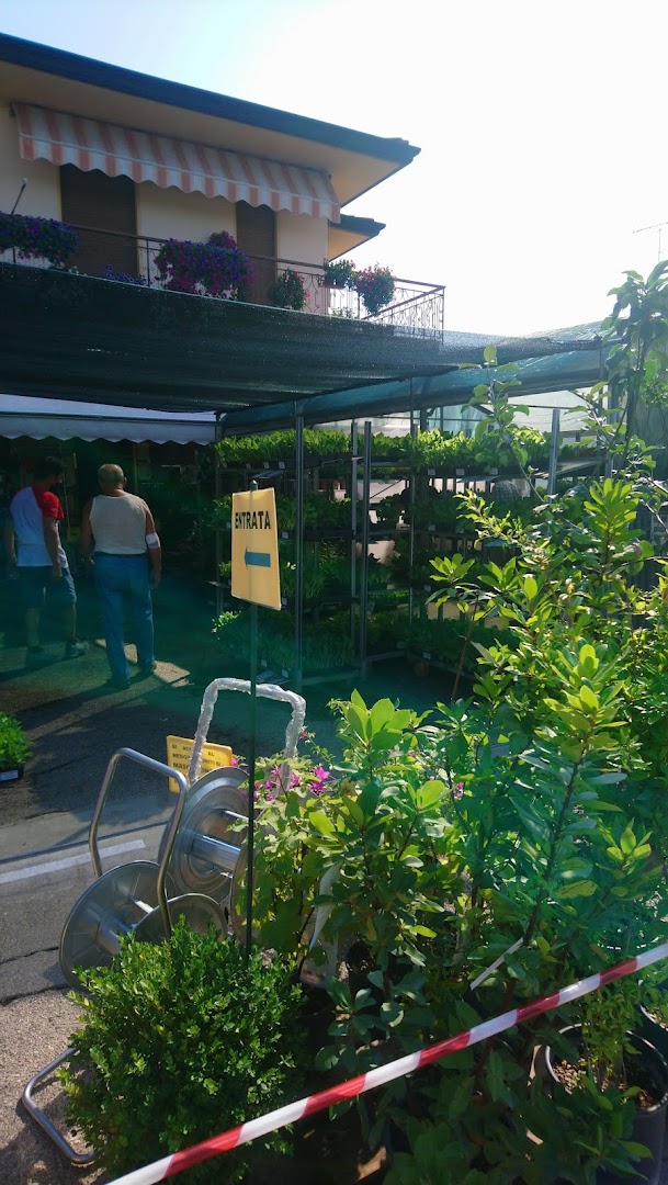 Agraria Trifoglio D'Oro Sas