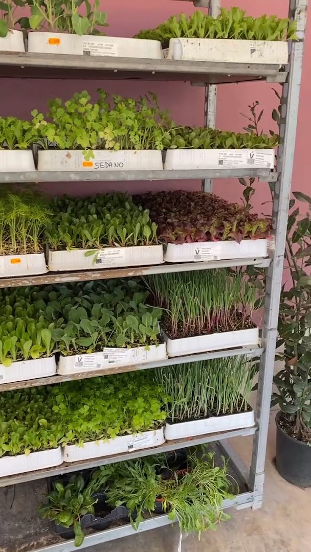 Agri.Flor.All Di Franco Uccheddu, Capoterra