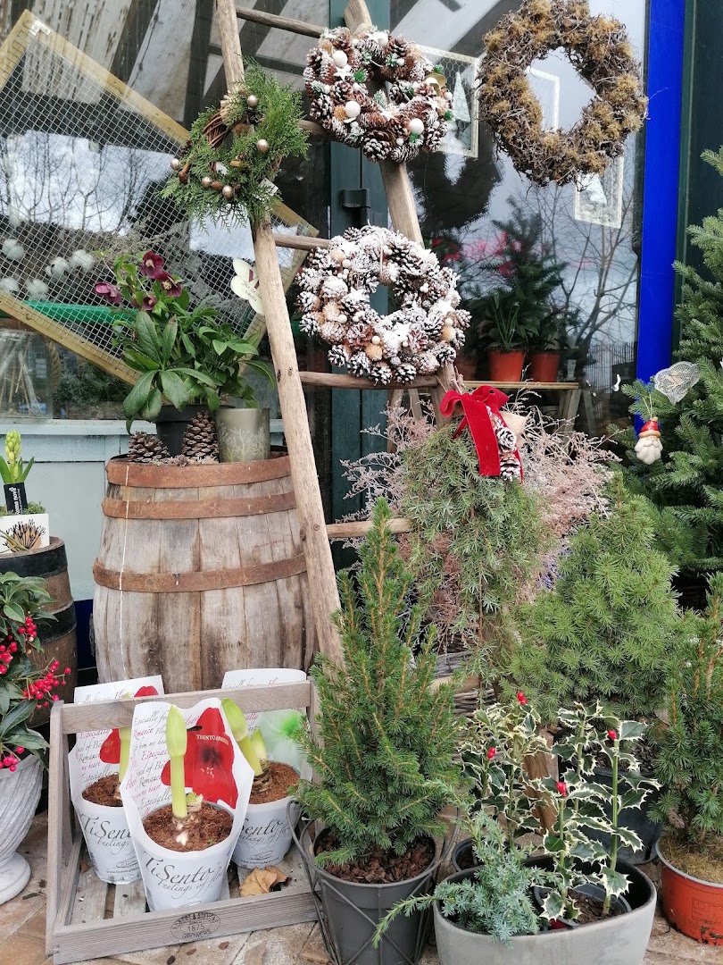 Agri Val d'Arbia