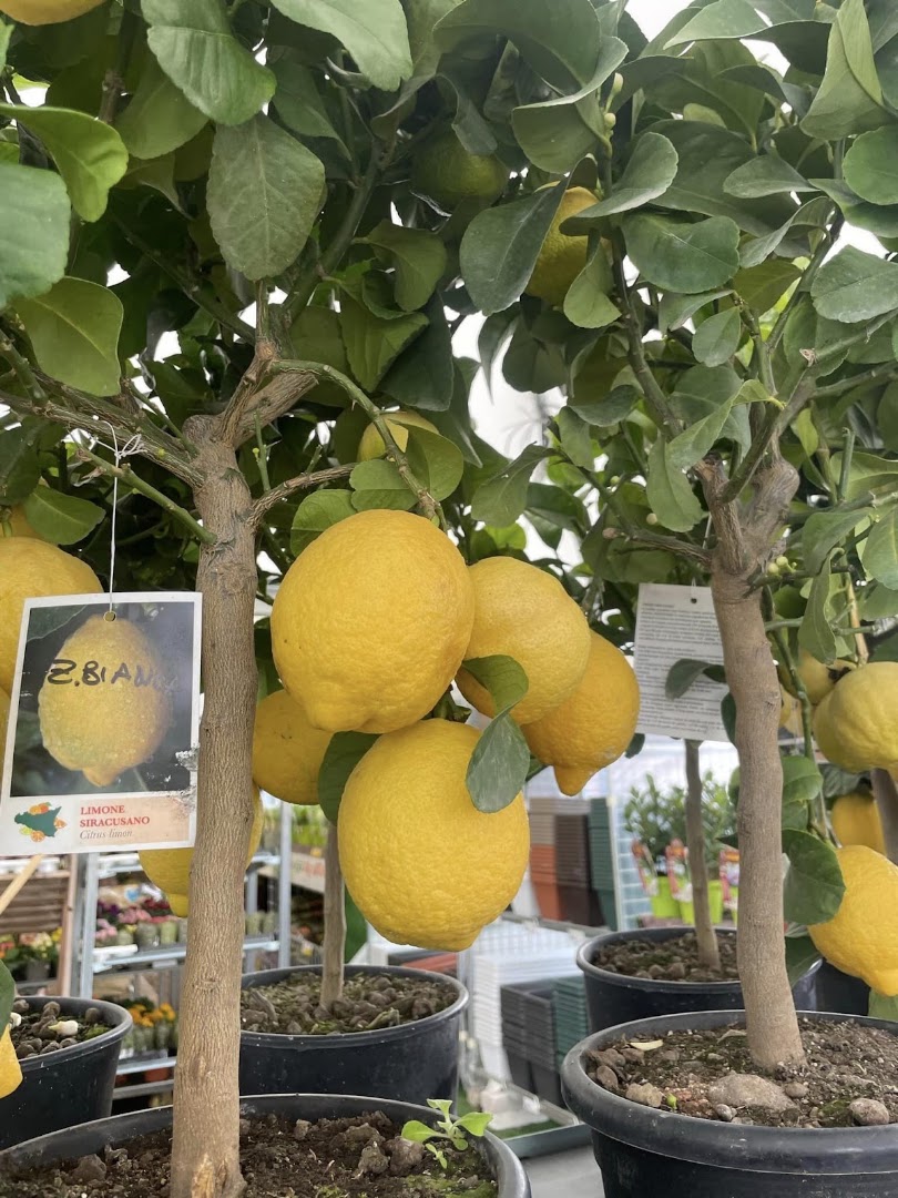 AGRI2.0