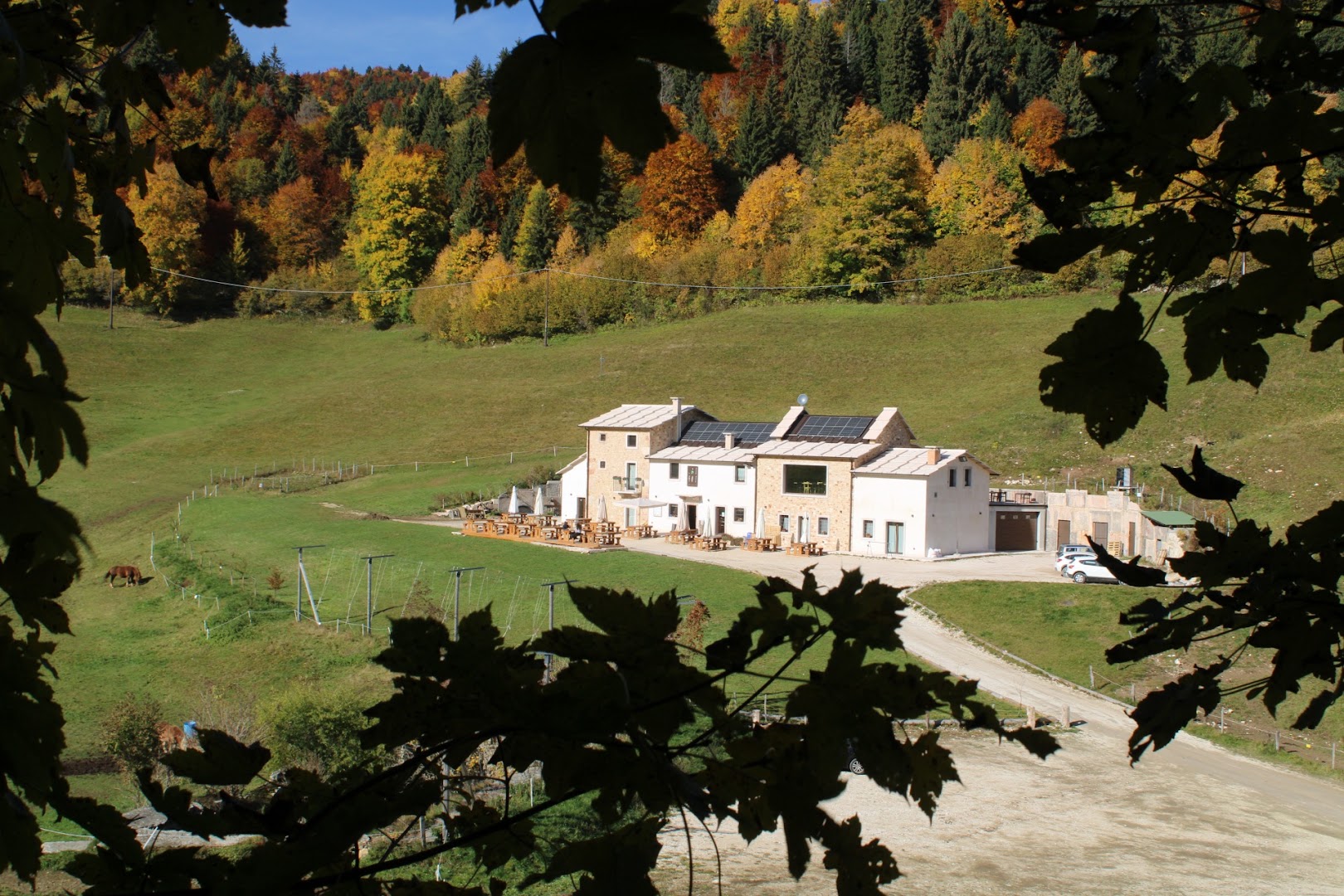Agribirrificio Laorno, Bosco Chiesanuova