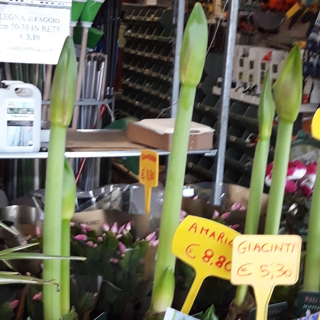 Agrigarden