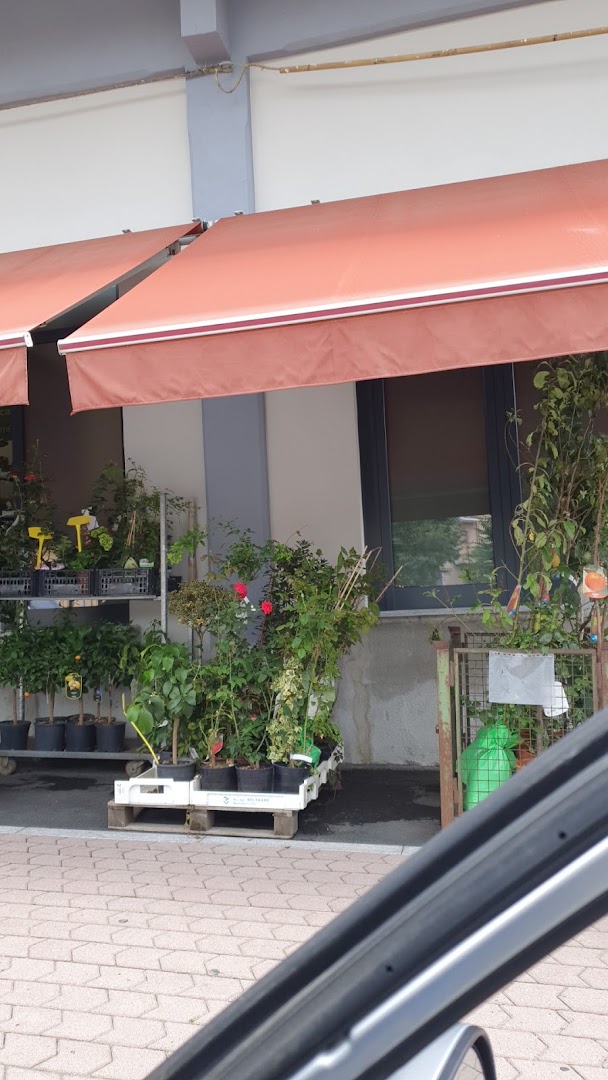 Agrigarden