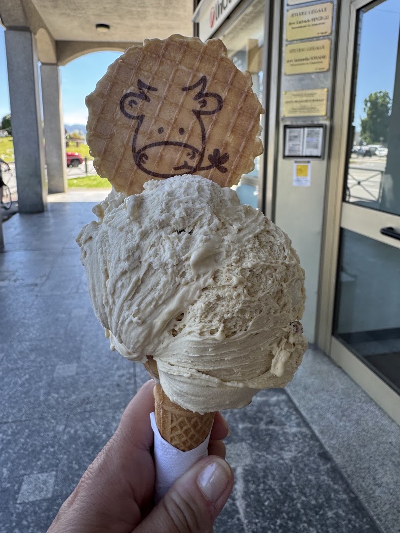 Agrigelateria