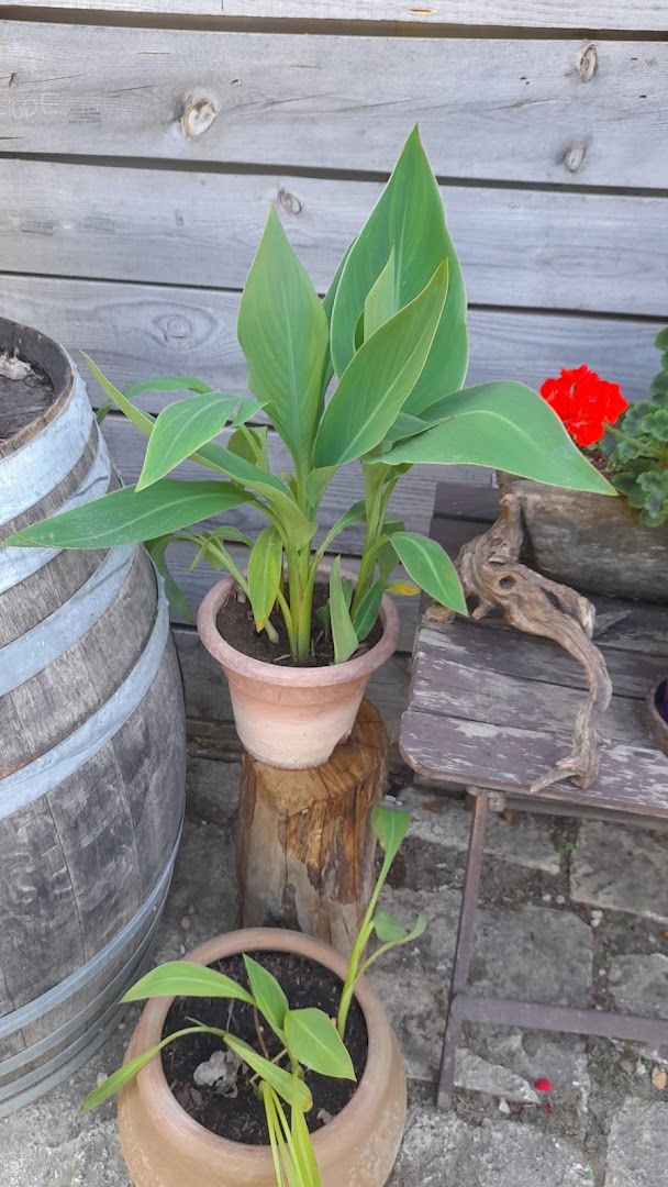 AgriMusicismo B&B&B