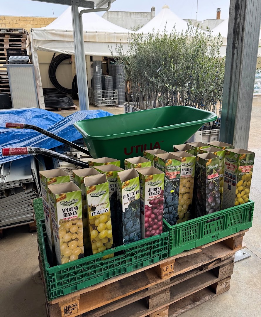 AgriTorsello, Tiggiano
