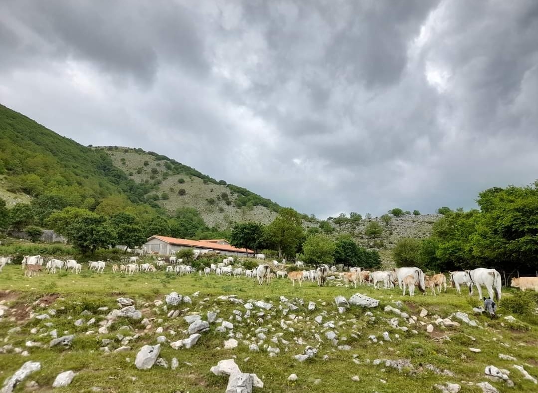 Agritour Masseria Valle Torre