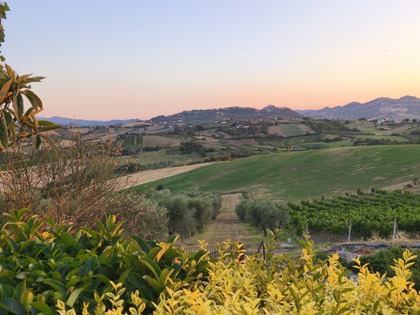Agriturismo Carlini