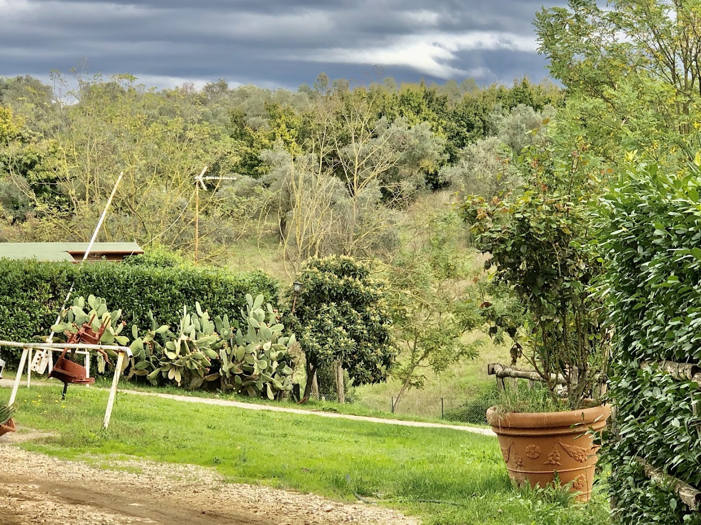 Agriturismo e Circolo Ippico La Zebra