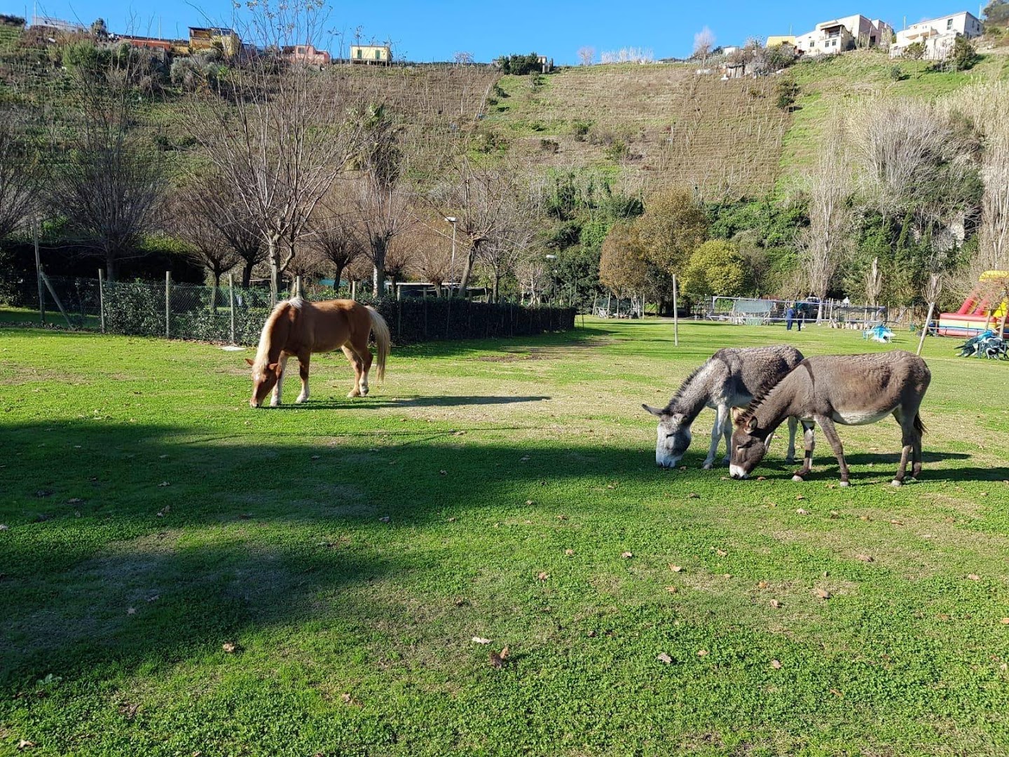 Agriturismo I Fondi di Baia