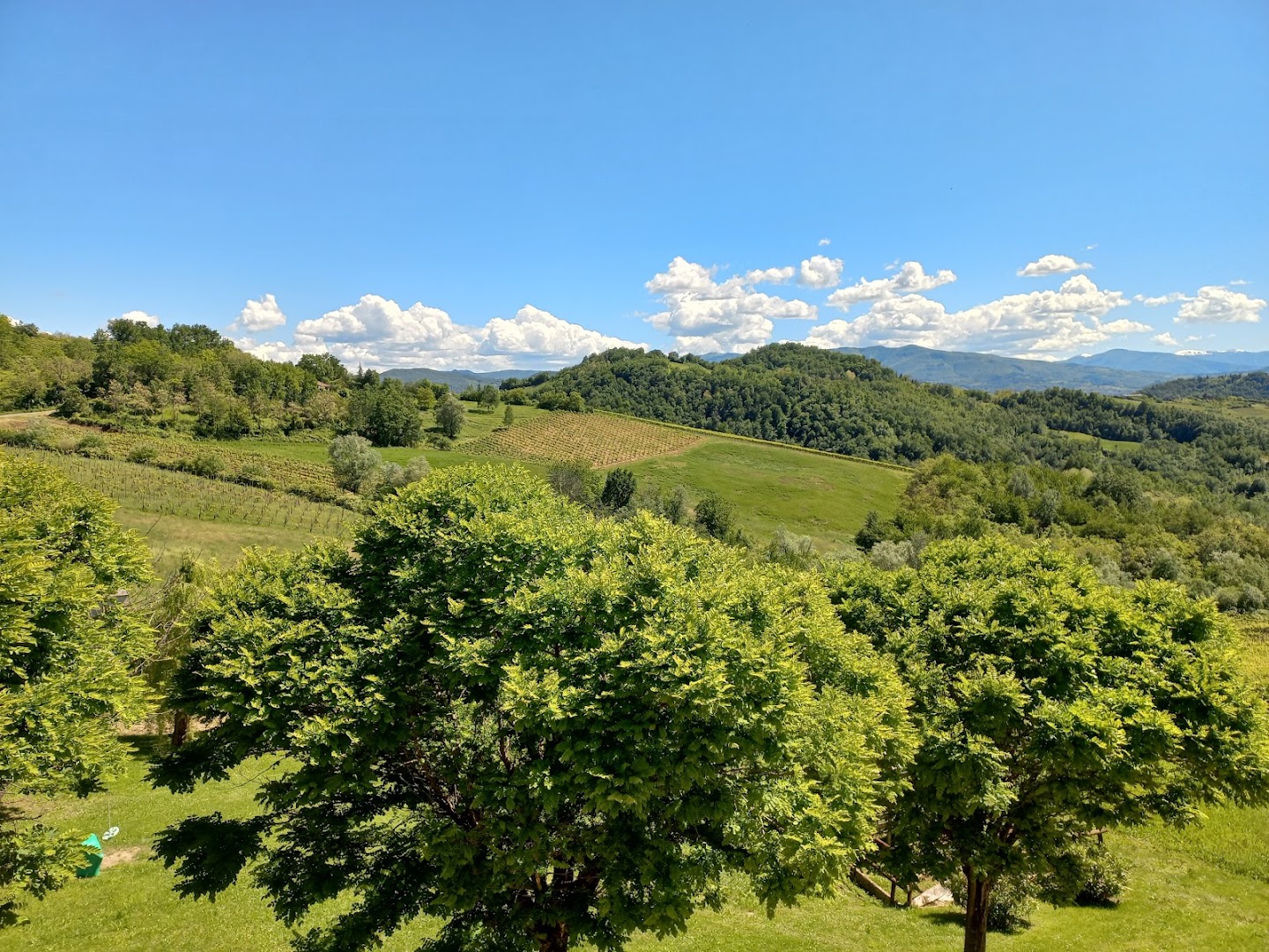 Agriturismo Il Fienile
