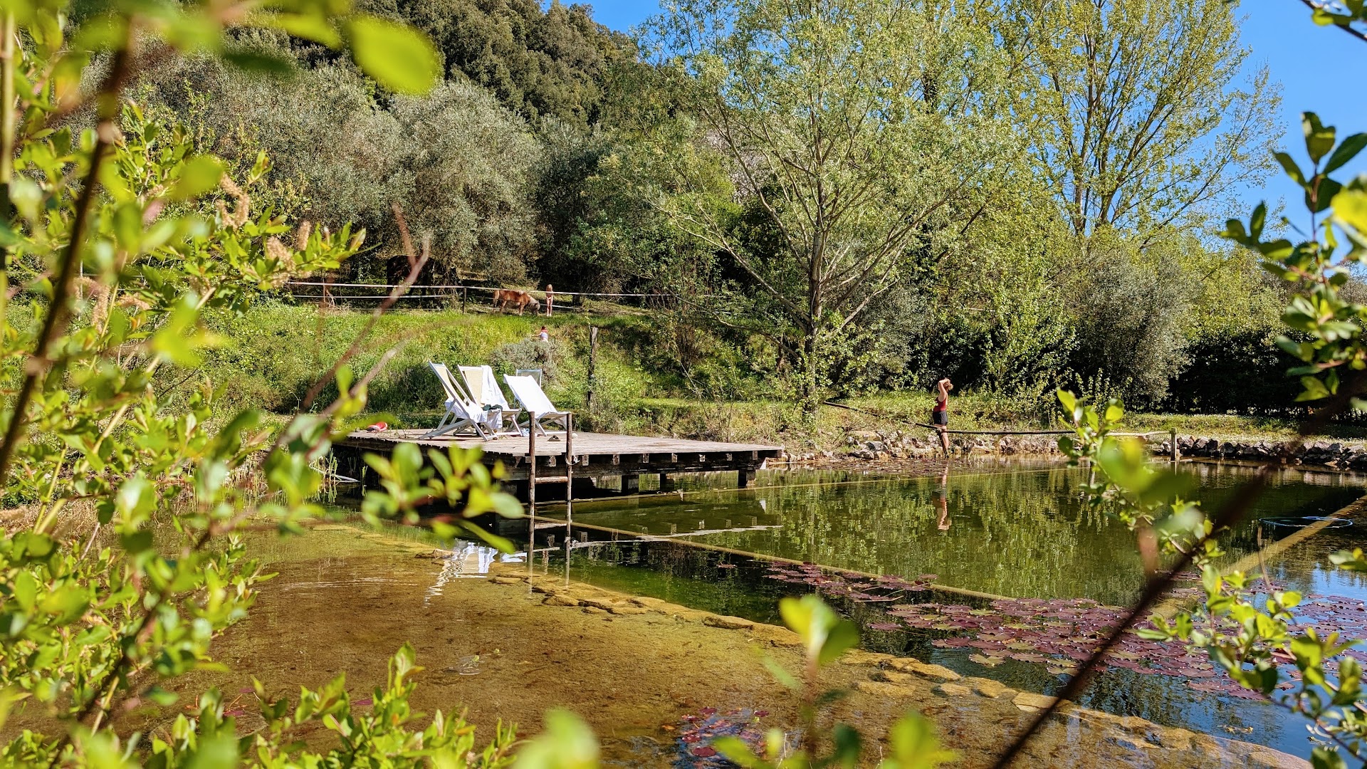 Agriturismo Il Meletto, Casciana Terme Lari