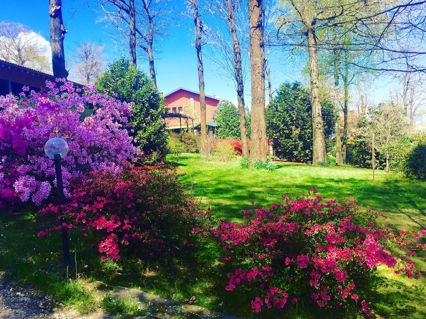 Agriturismo il Vecchio Castagno
