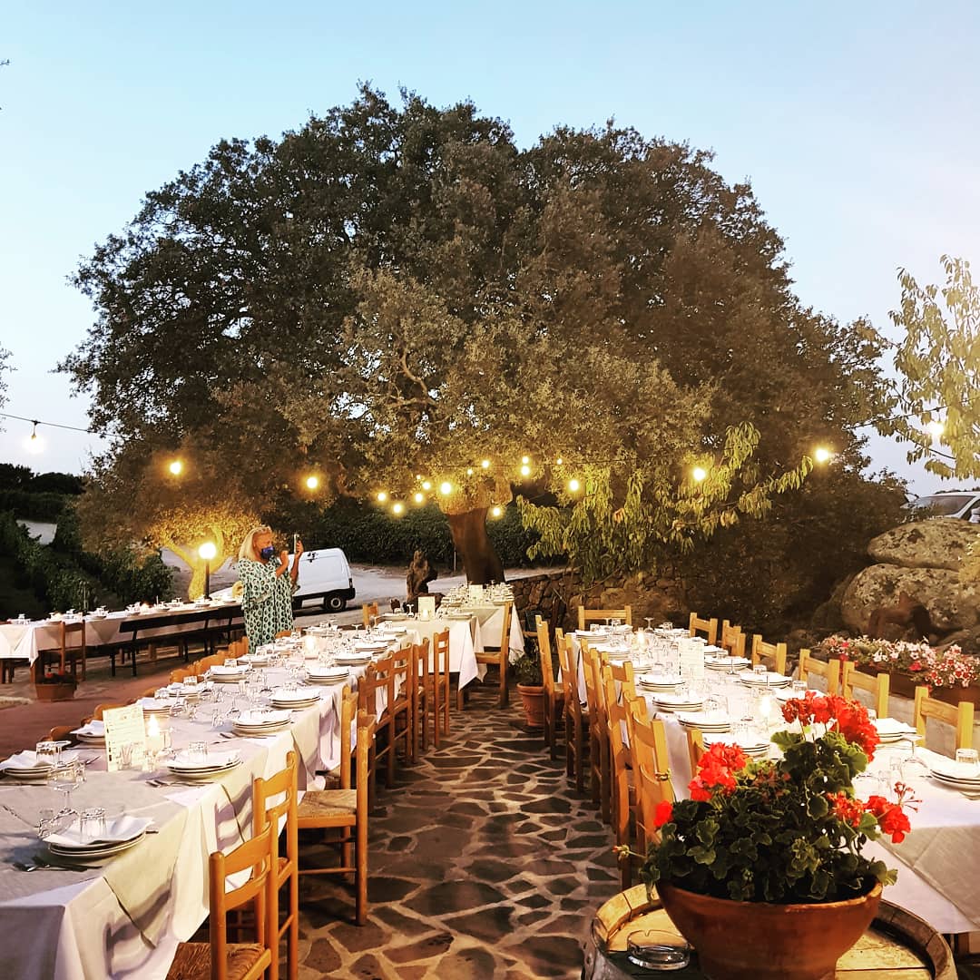 Agriturismo il Vermentino - Cantina Tani Vini