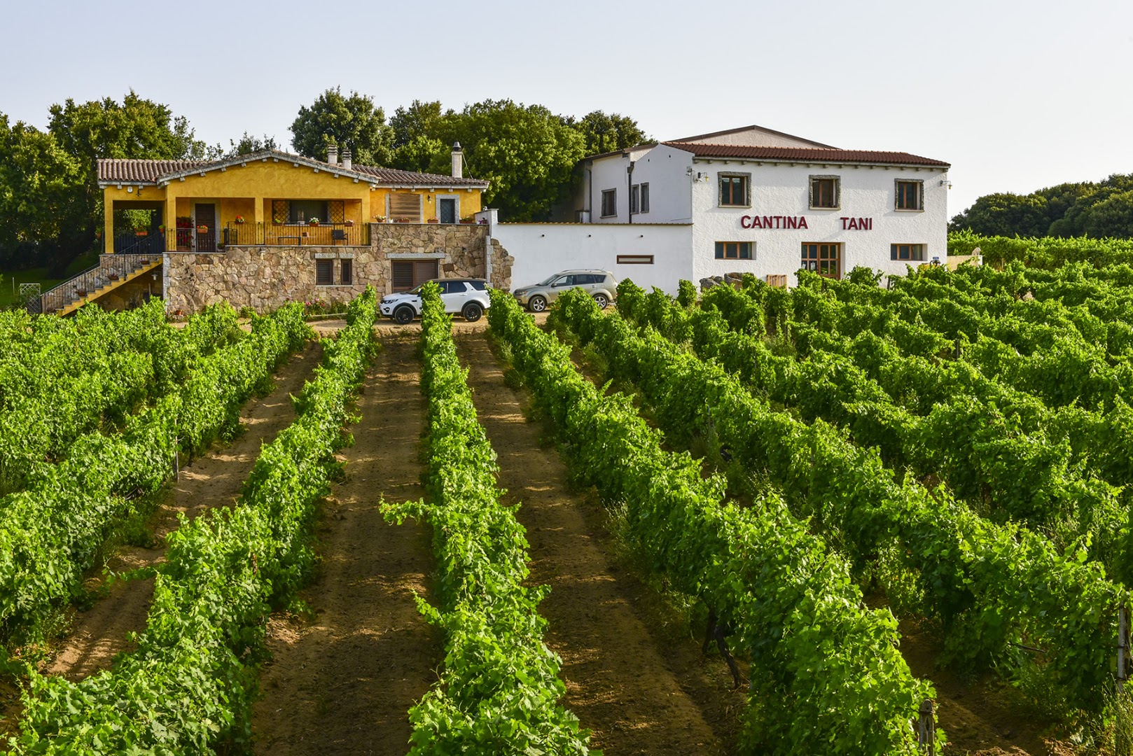 Agriturismo il Vermentino - Cantina Tani Vini