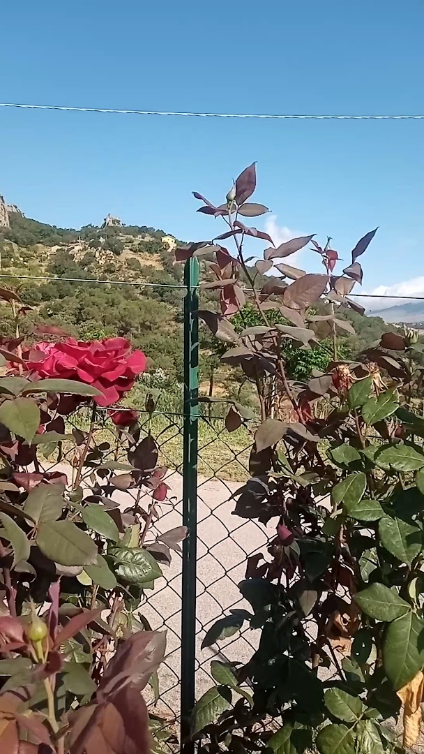 Agriturismo La Stragola, Nicosia