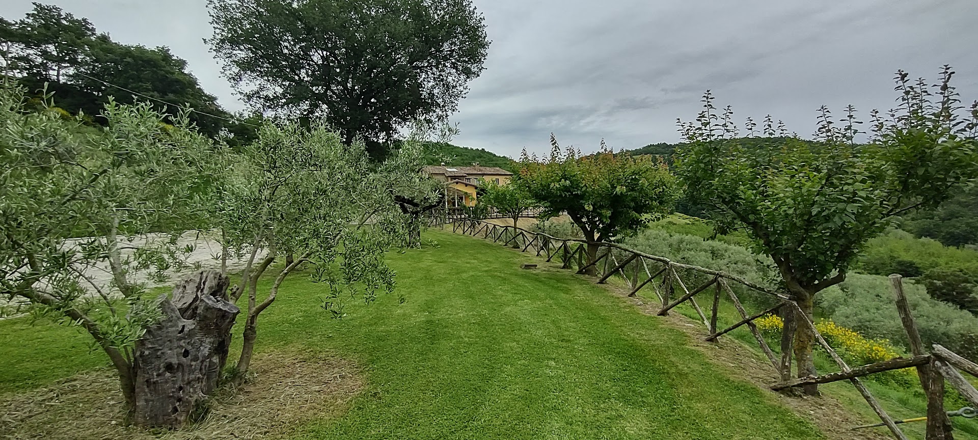 Agriturismo la valle dei fiori di bellucci rosanna