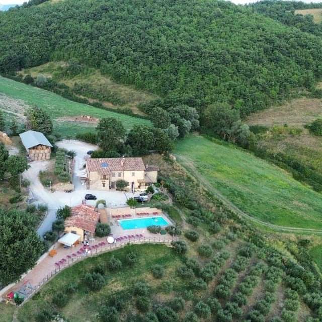 Agriturismo la valle dei fiori di bellucci rosanna