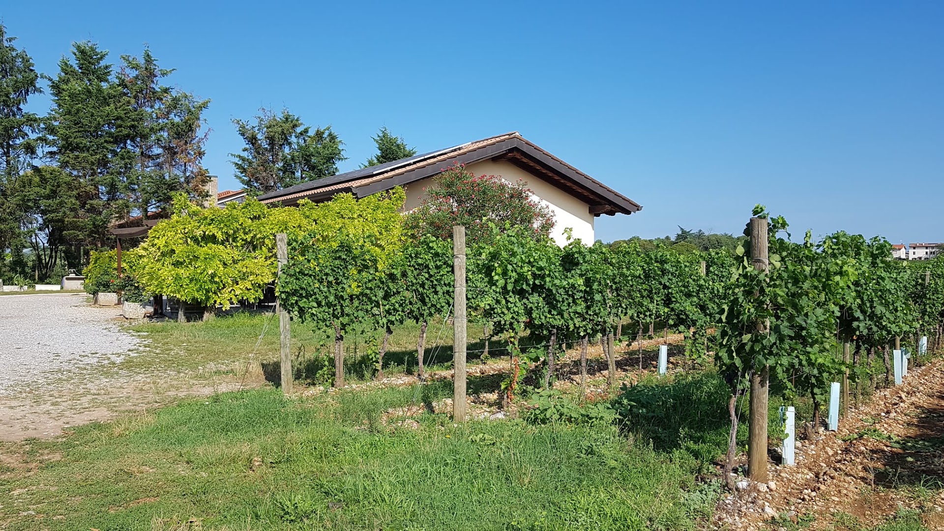 Agriturismo "Lorenzon Fabio", Gradisca d'Isonzo