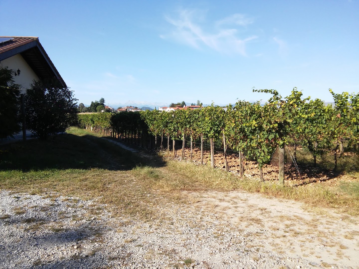Agriturismo "Lorenzon Fabio"