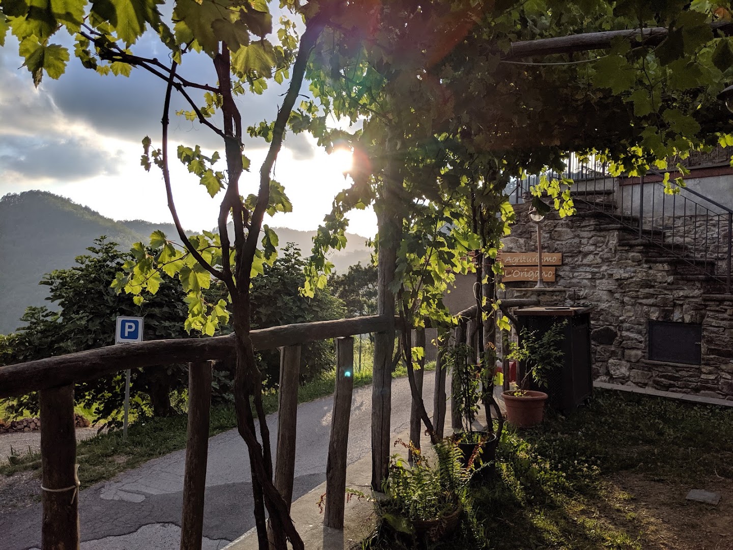 Agriturismo L'Origano