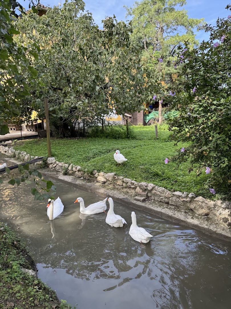 Agriturismo Luna