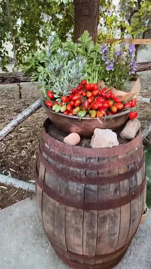 Agriturismo Masseria Pozzo