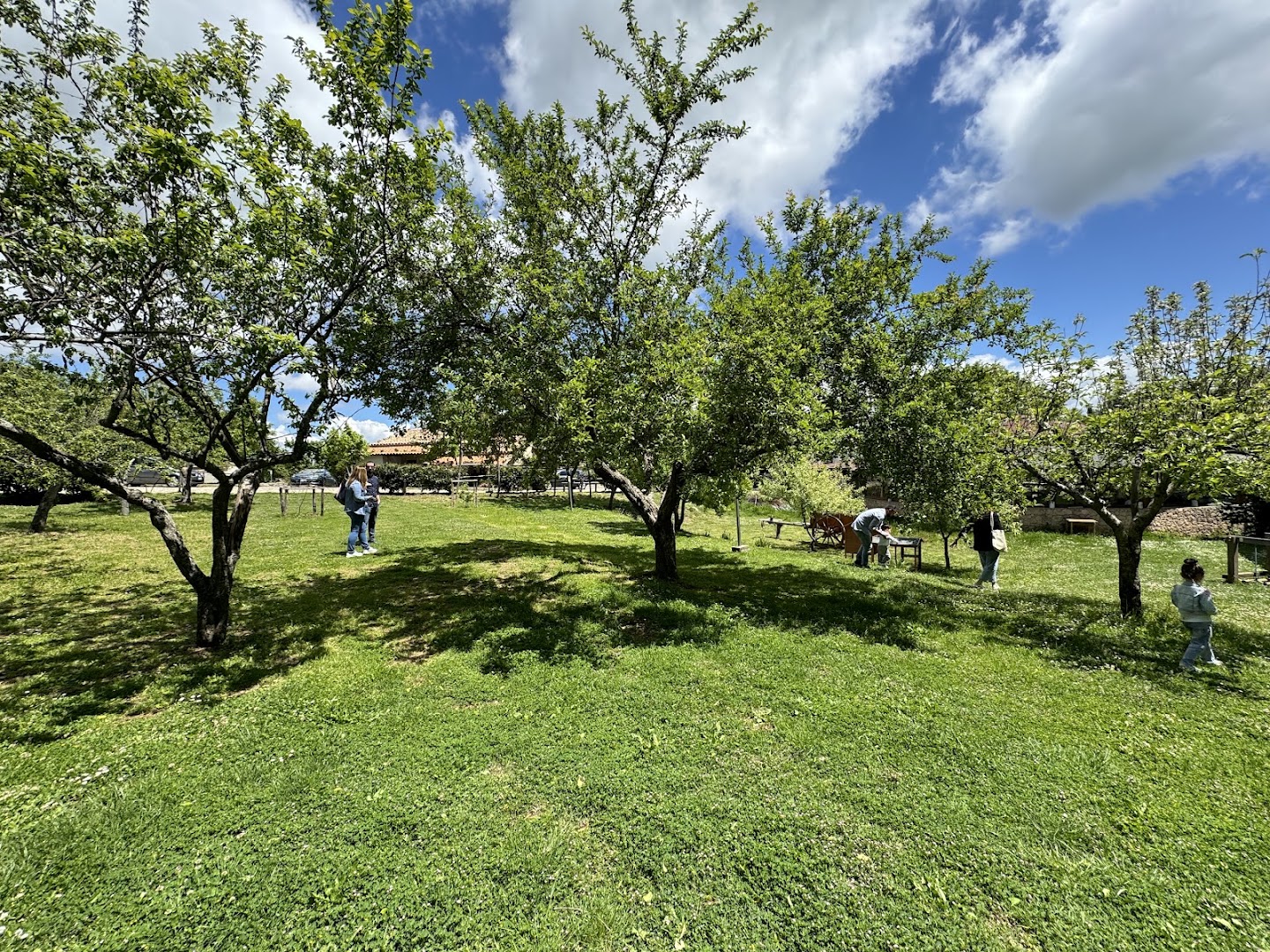 Agriturismo Piano di Pero, Dipignano