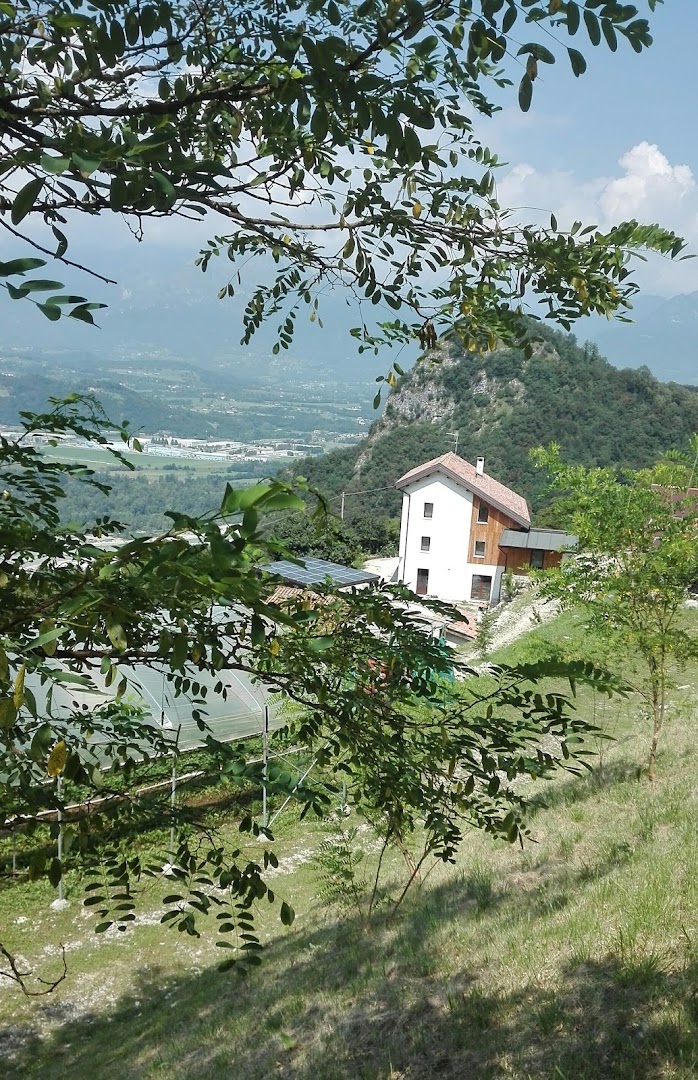 AGRITURISMO SAETTA'
