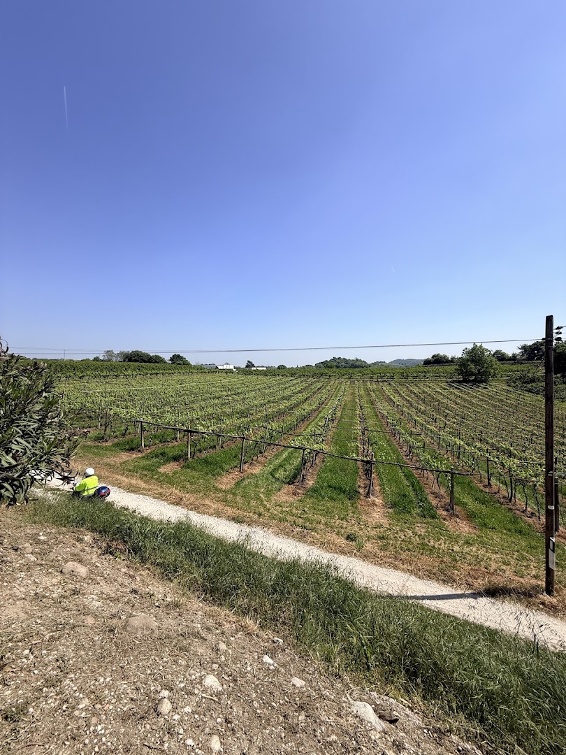 Agriturismo San Francesco, Valeggio sul Mincio