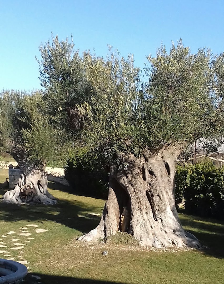 Agriturismo San Michele in Triglie