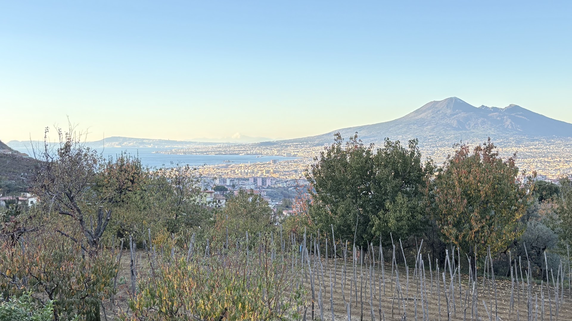 Agriturismo Villa Antica, Gragnano