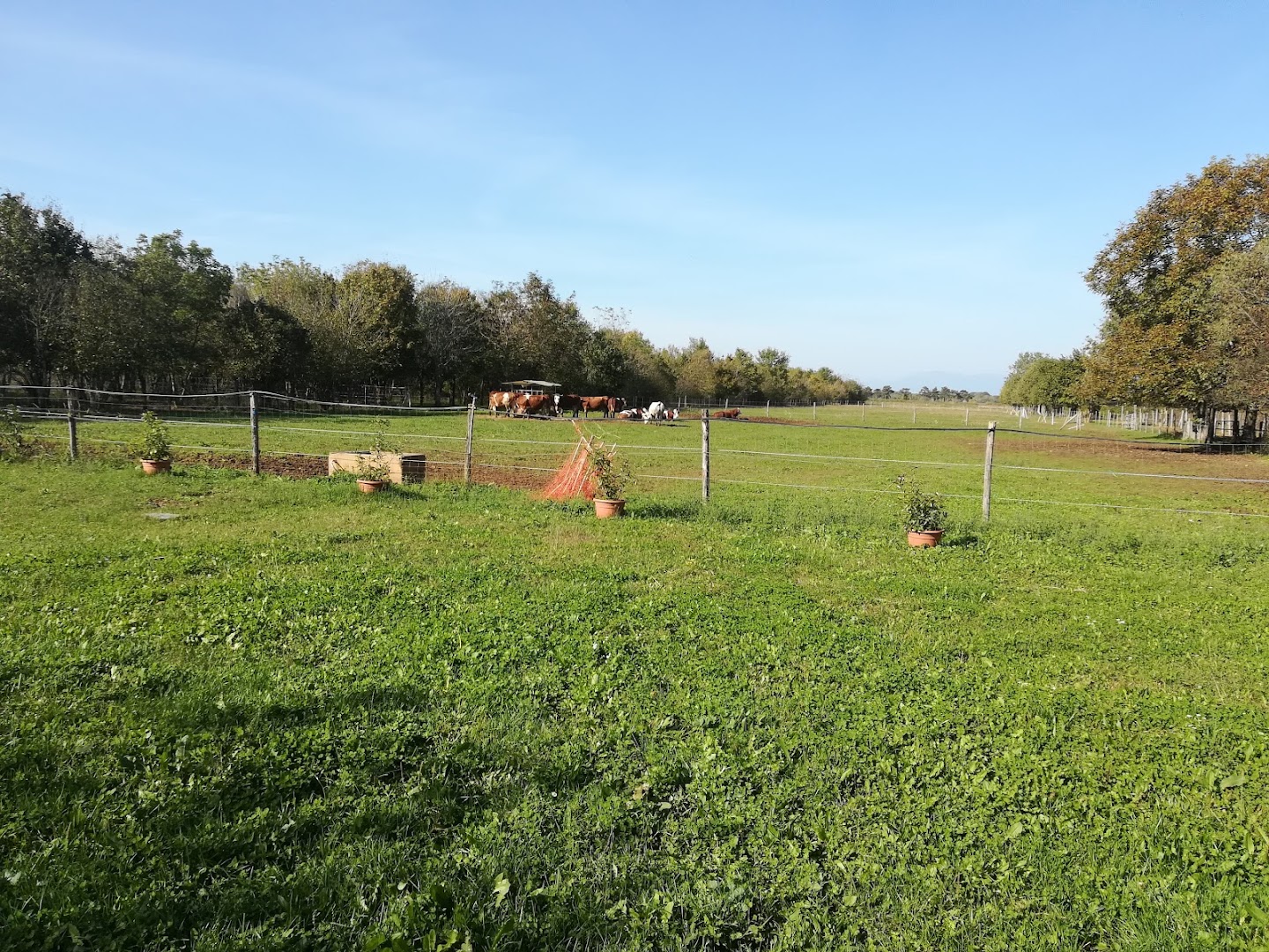 Fattoria Zoff Agriturismo Borg da Ocjs