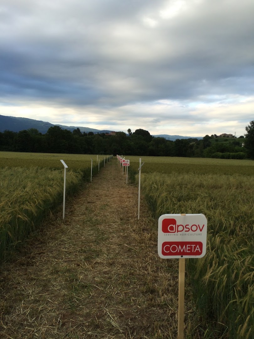 Agroveneta Srl prodotti per l'agricoltura