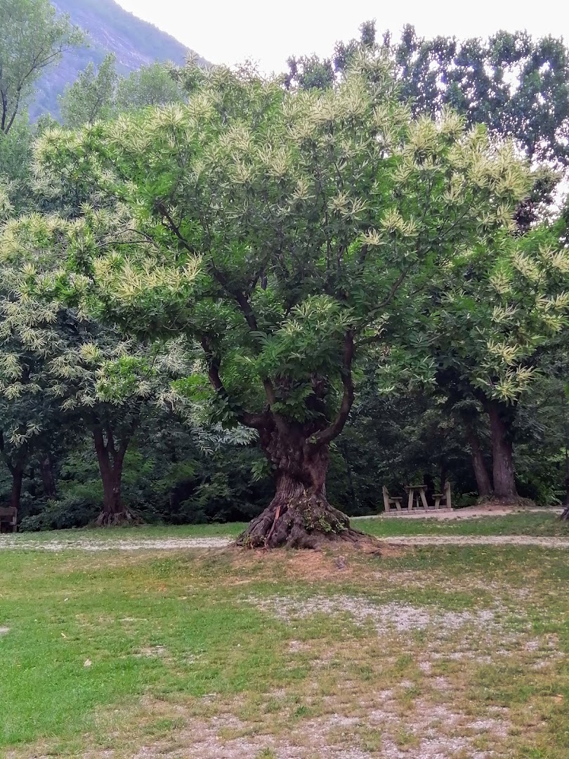 Ai Piani, Roma