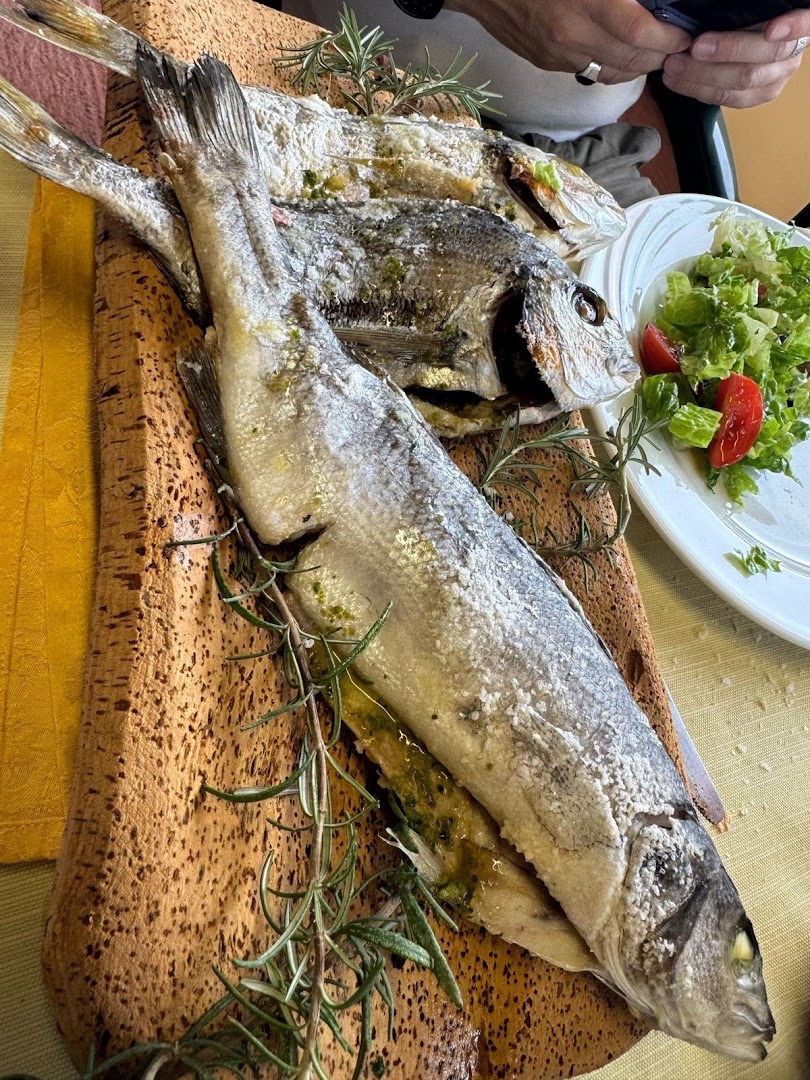 AJO A UMBE COSIMO di Flore Marlisa